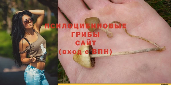 а пвп мука Баксан