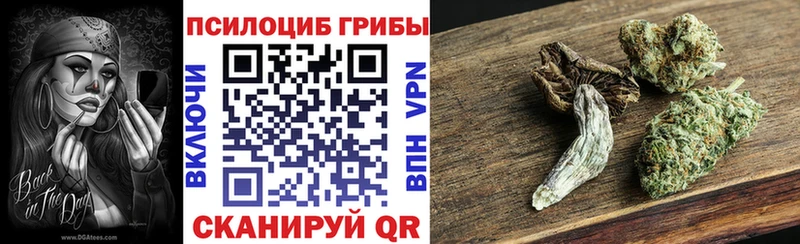 Псилоцибиновые грибы мухоморы  наркота  Белокуриха 